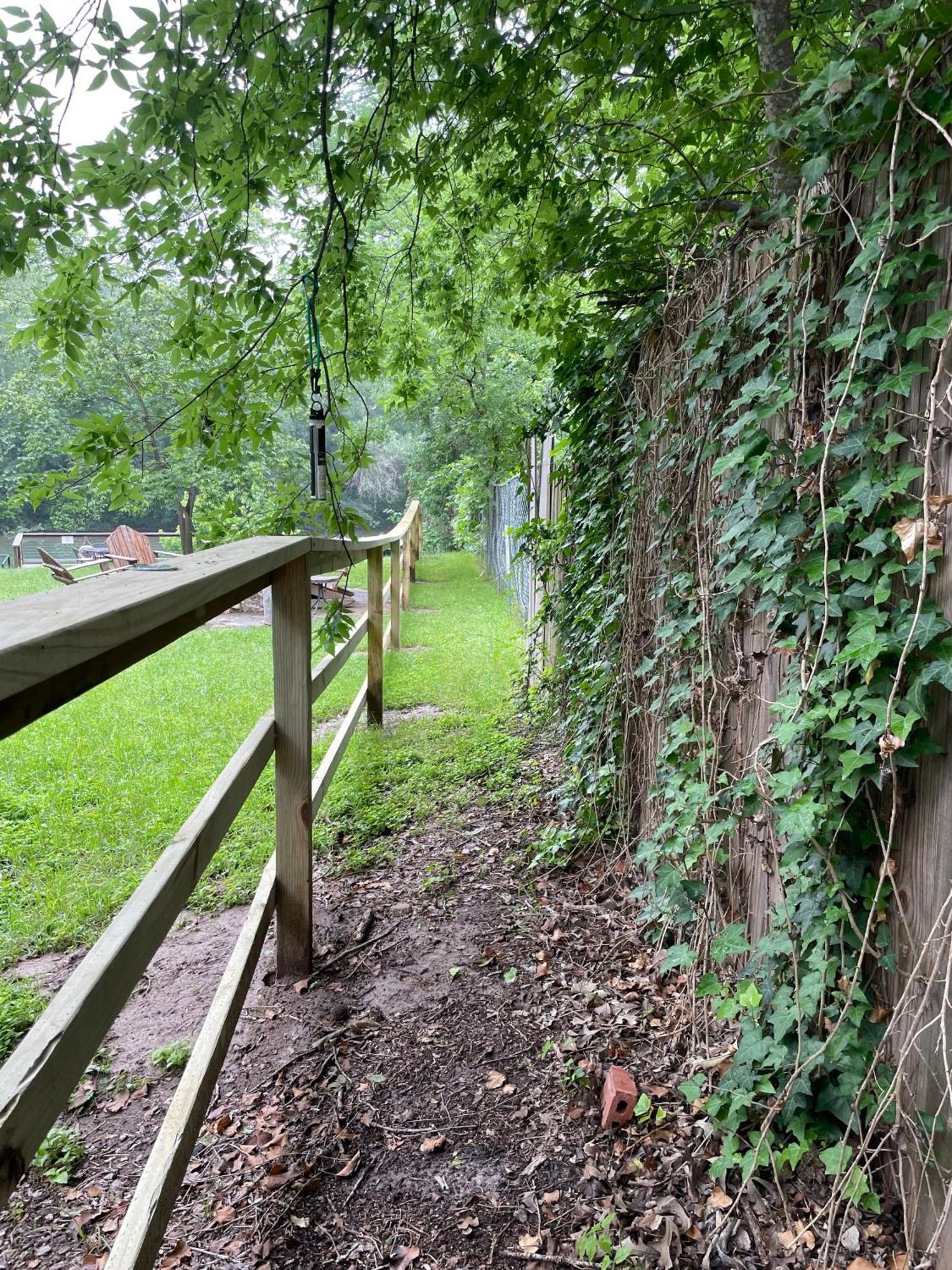 Pet Friendly Tiny House Rental With New Access To Guadalupe River Nbtx New Braunfels Buitenkant foto